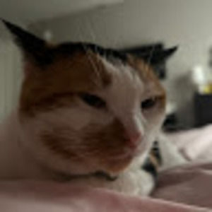 Meet your Posher, Lacey